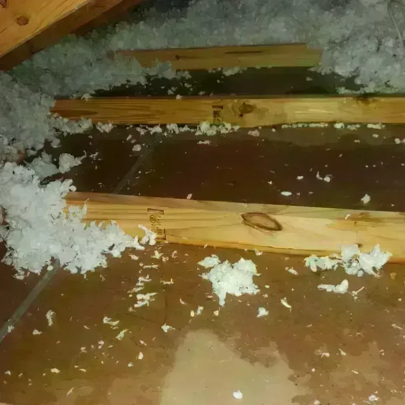 Attic Water Damage in Fargo, ND